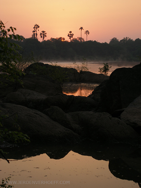 Senegal niokolo nightfall