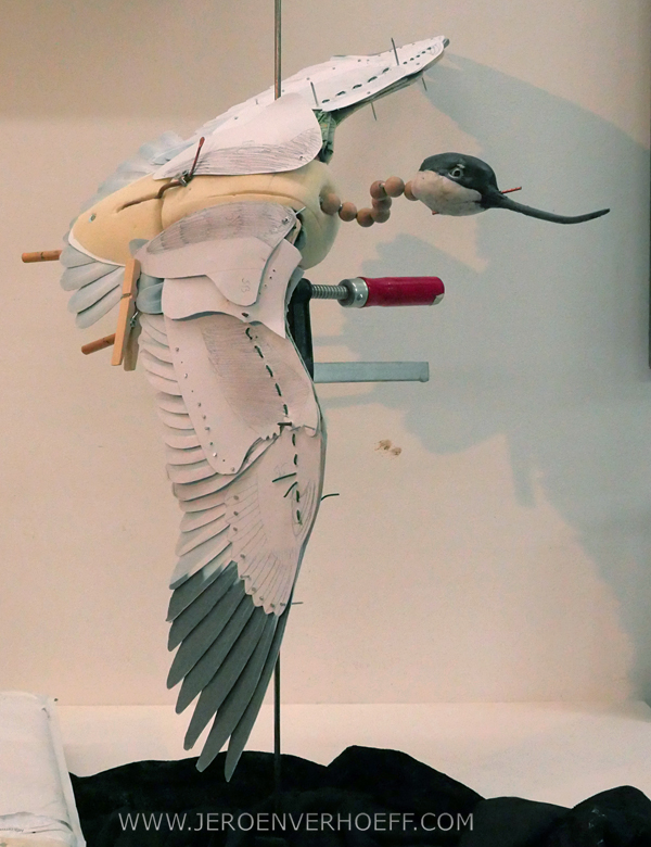 Avocet study model Jeroen Verhoeff