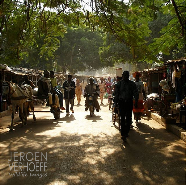 The Gambia, market, photo Jeroen Verhoeff