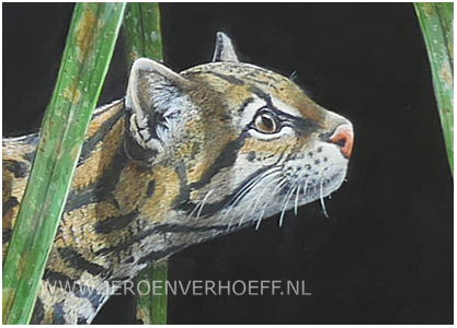 Ocelot painting detail Jeroen Verhoeff