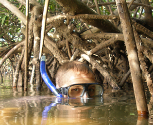 Jeroen Verhoeff Wildlife Film Underwater cameraman