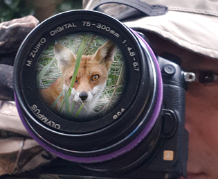 Jeroen Verhoeff Wildlife cameraman for hire