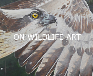 Jeroen Verhoeff Wildlife Art - On wildlife art