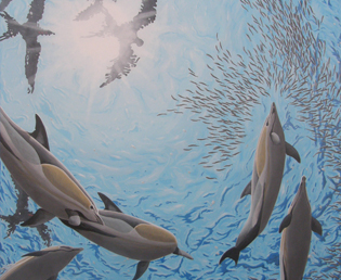 Wildlife art commissioned ceiling painting Jeroen Verhoeff dolphins