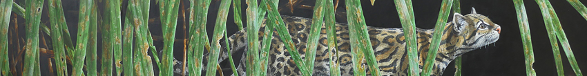 Jeroen Verhoeff Wildlife painting Ocelot