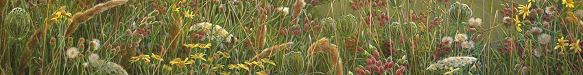 Jeroen Verhoeff Wildlife painting Flowers