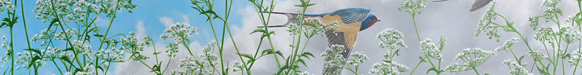 Jeroen Verhoeff Wildlife painting Swallows