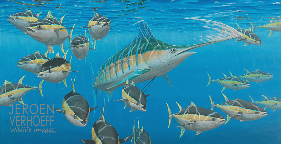 'Stunning', blue marlin painting Jeroen Verhoeff