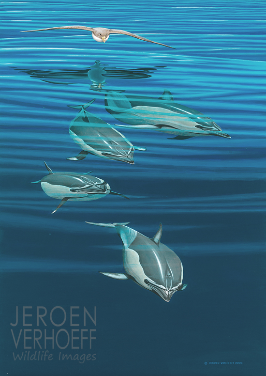 'Two worlds' common dolphin painting Jeroen Verhoeff