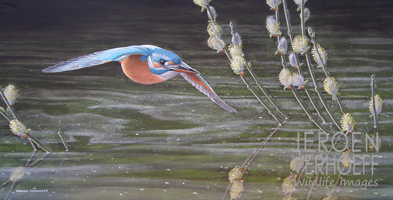 ‘Queenfisher‘, kingfisher painting Jeroen Verhoeff
