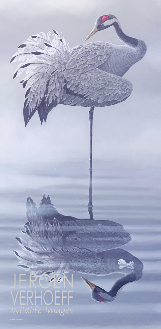 'Preening', Eurasian crane painting Jeroen Verhoeff