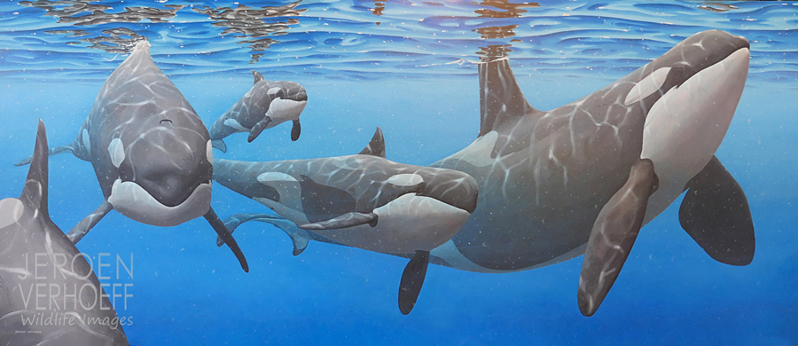 'The silent ones', orca painting Jeroen Verhoeff