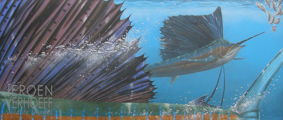'Sailing', sailfish, painting Jeroen Verhoeff
