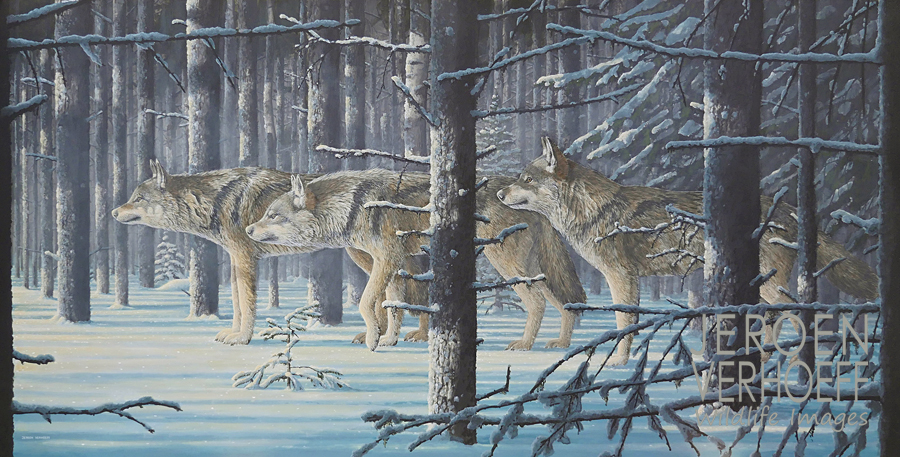 'Three brothers', wolf painting Jeroen Verhoeff