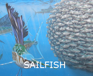 Sailfish print